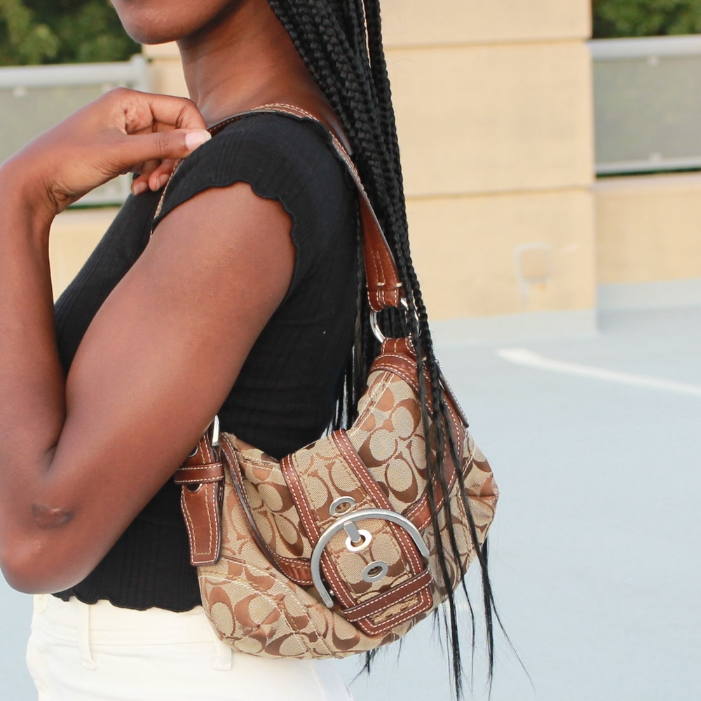 Mini Coach purse